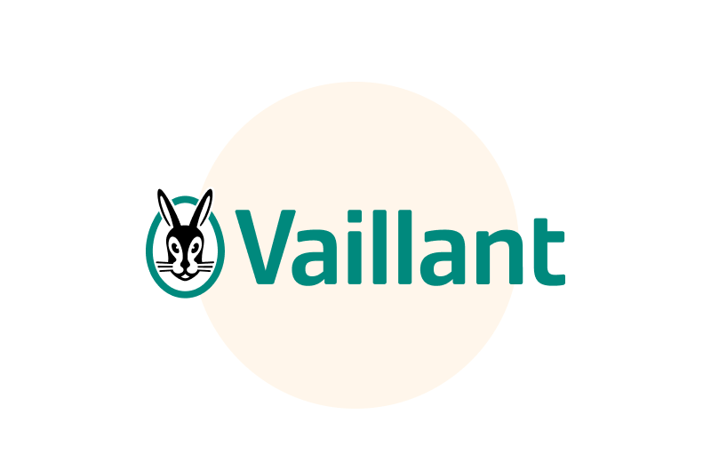 Vaillant case study