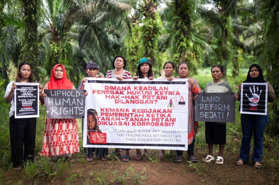 global witness case study